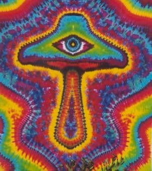 06b-mushroomeye