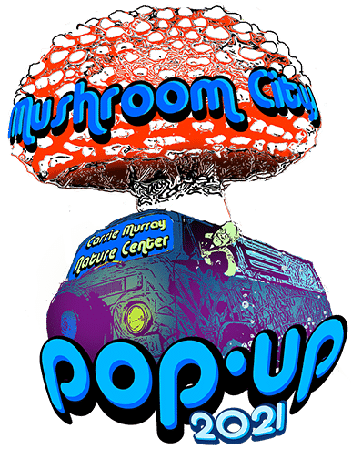mushroom city